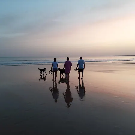 Mobil 6/8 Personnes Semesterpark